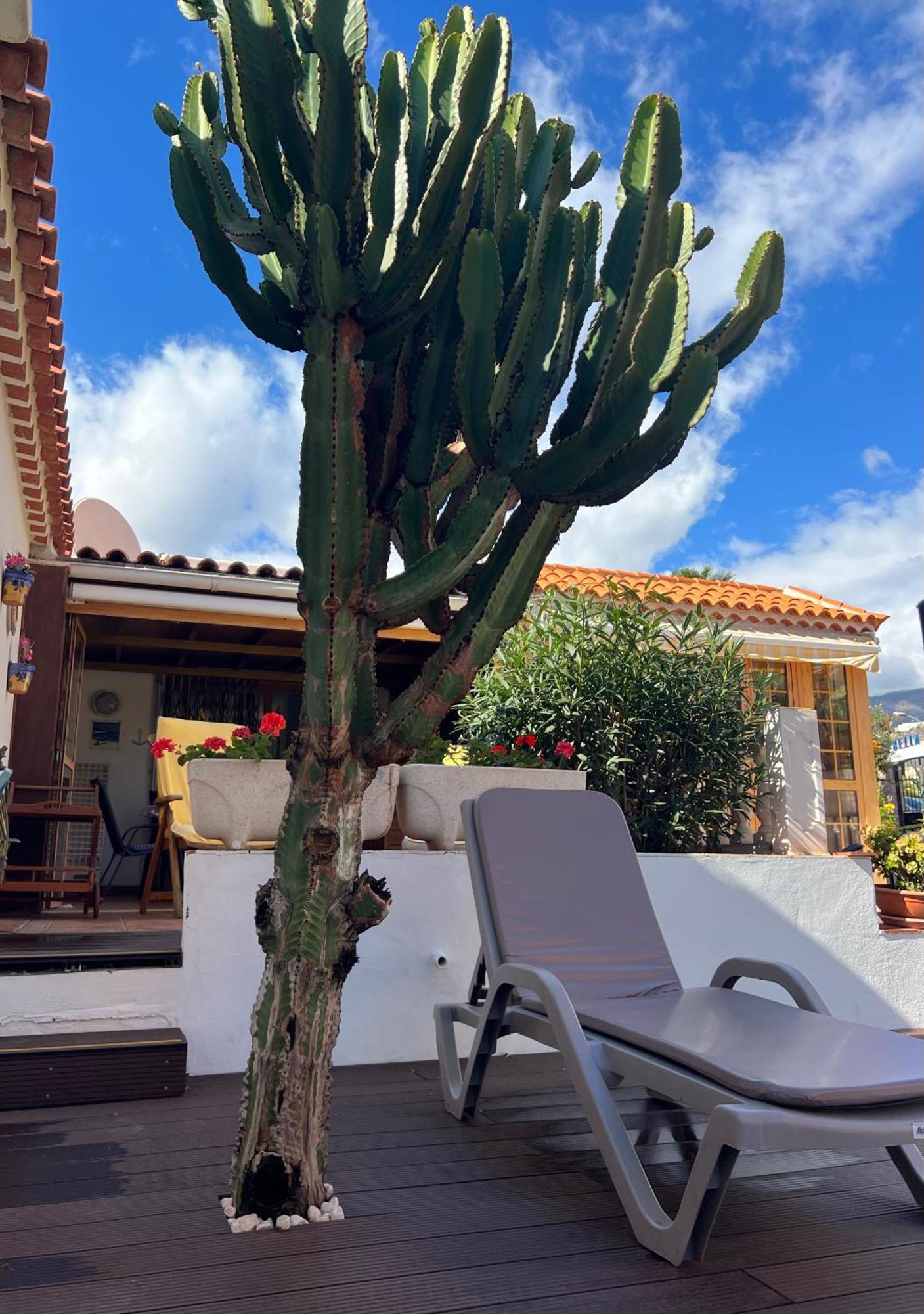 Cactus'S House, 150 M Beach, 1 Bdr, 4 Guests, Wifi, Netflix, 아데제 외부 사진